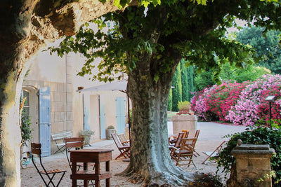 We bought this 400-year-old bastide in Provence