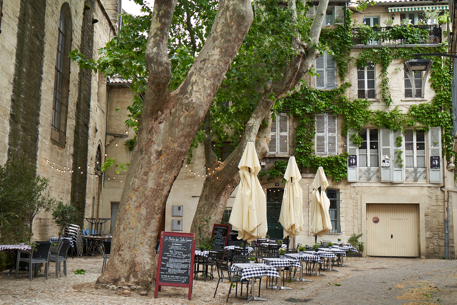 AVIGNON: A Historical Gem of Provence
