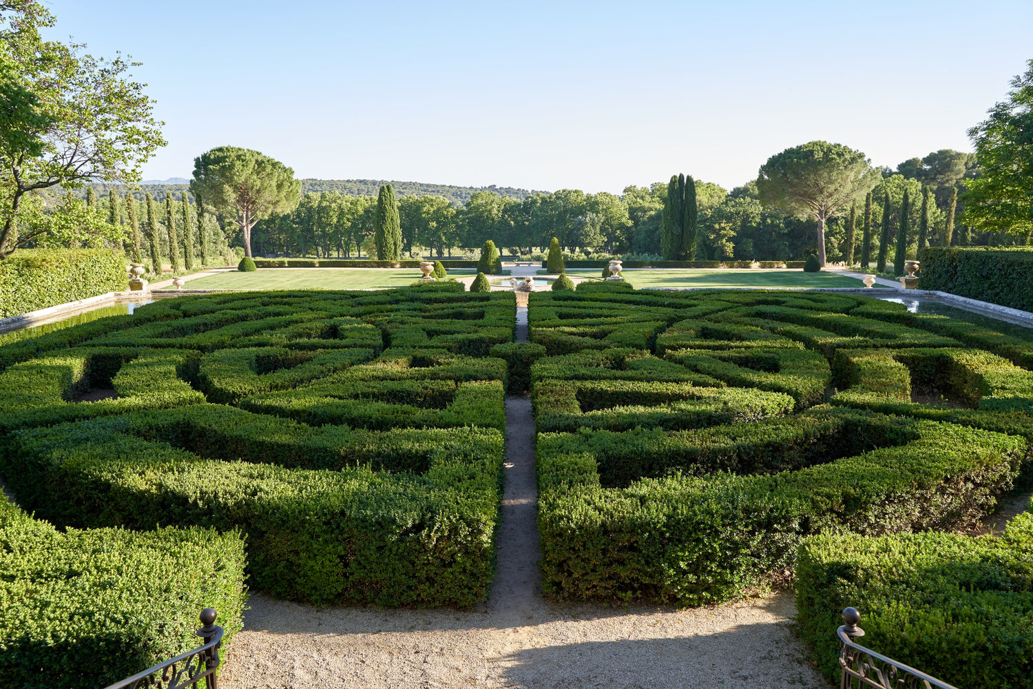Concerts in the Vineyards of Provence