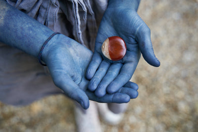 Indigo Dyeing in Provence