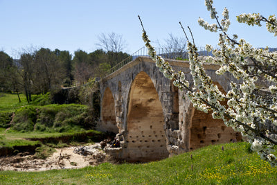 A Provence Gem: the Pont Julien