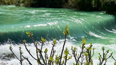 Overflowing Mystery: Fontaine de Vaucluse Unveiled