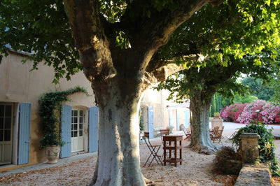 French style from Provence