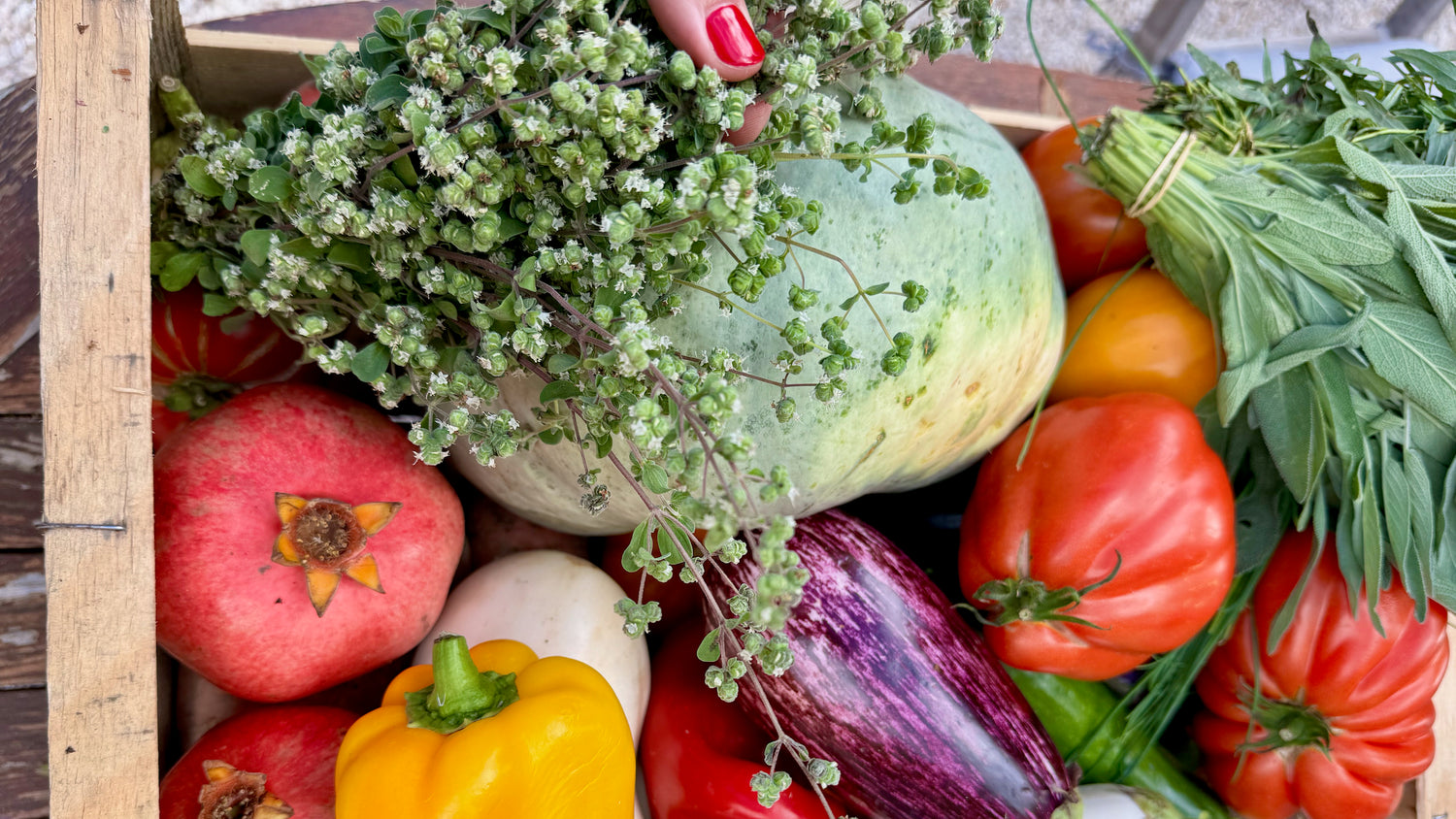 Ratatouille: Provence Classic Recipe