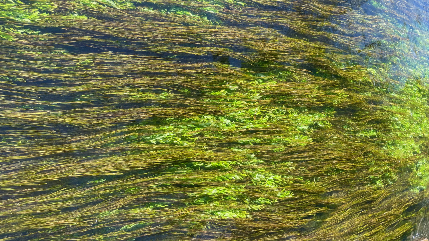 Antiquing in L'Isle sur la Sorgue