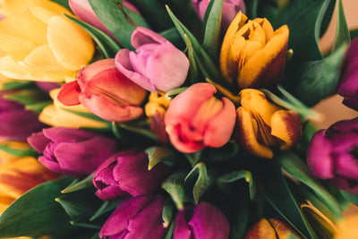 5 ways to celebrate spring!