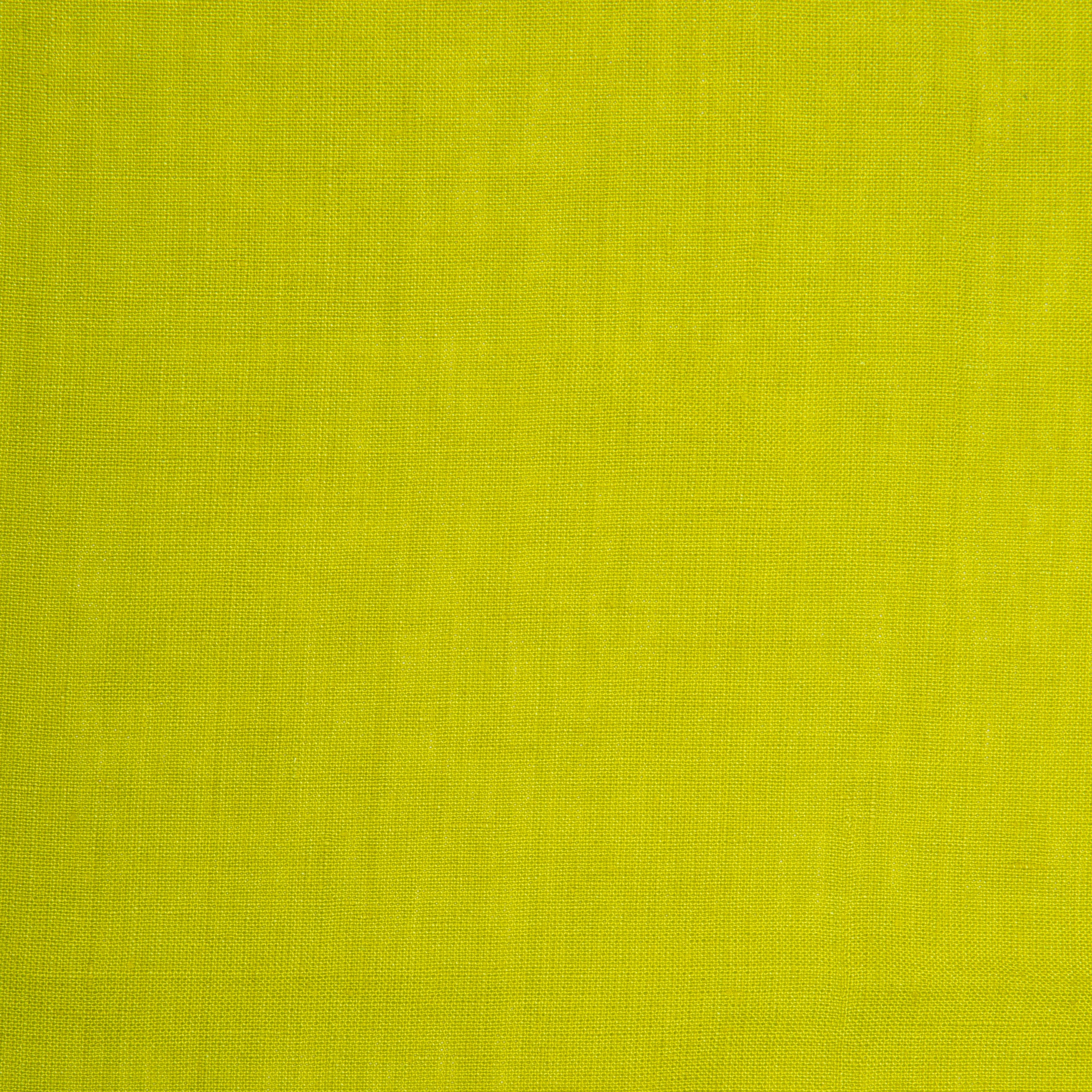 Palma Handwoven Linen Citronelle Green Napkins 20x20 - Set of 4