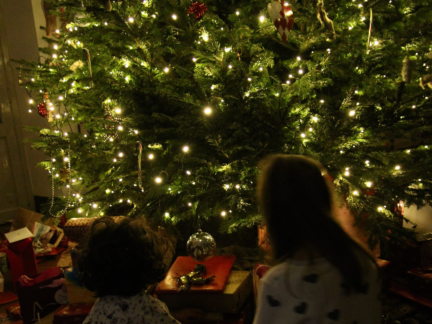 Christmas in Provence