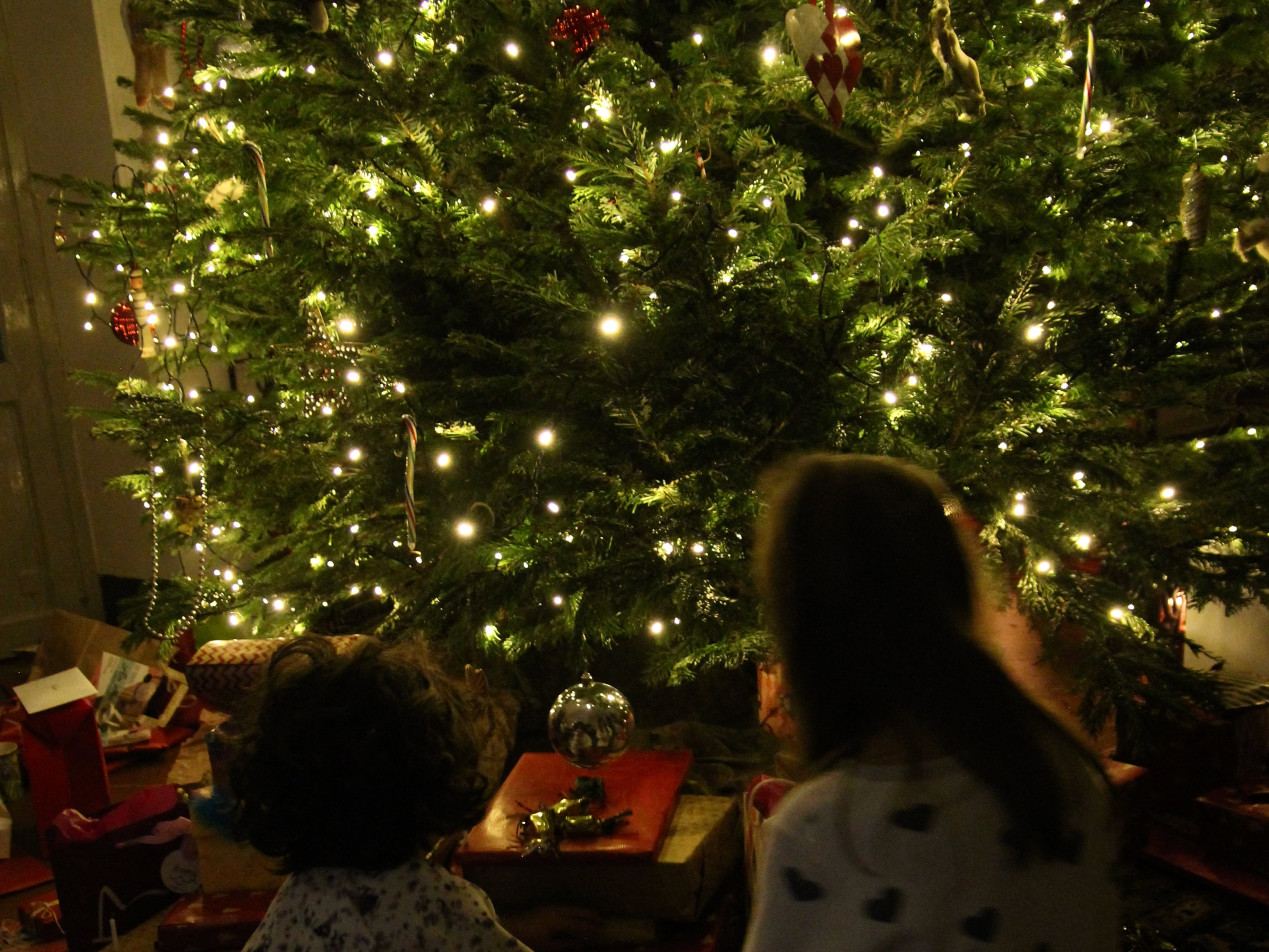 Christmas in Provence