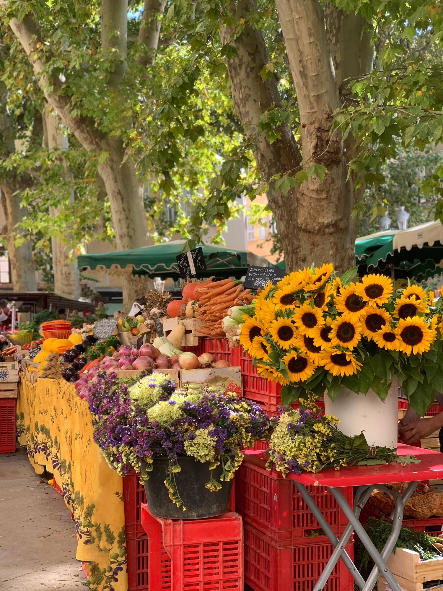 A Visit to Provence with Gaura Tibbitts - Part 2