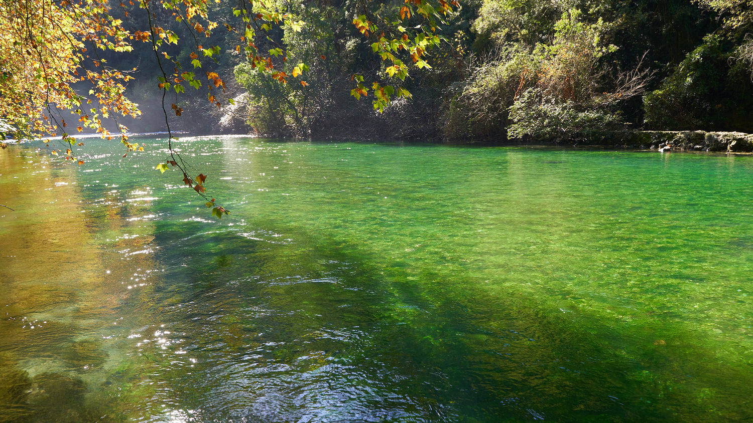 Fontaine de Vaucluse: Provence Magic