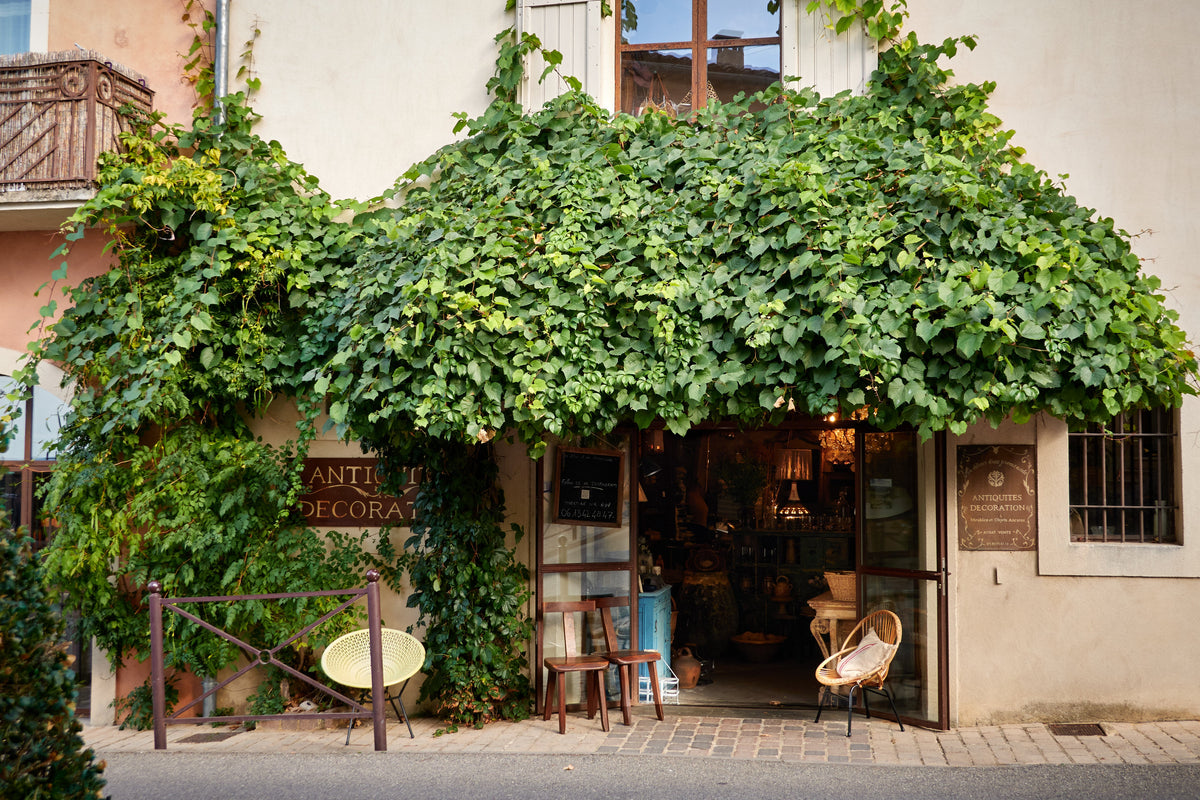 Antique Hunting in Bonnieux