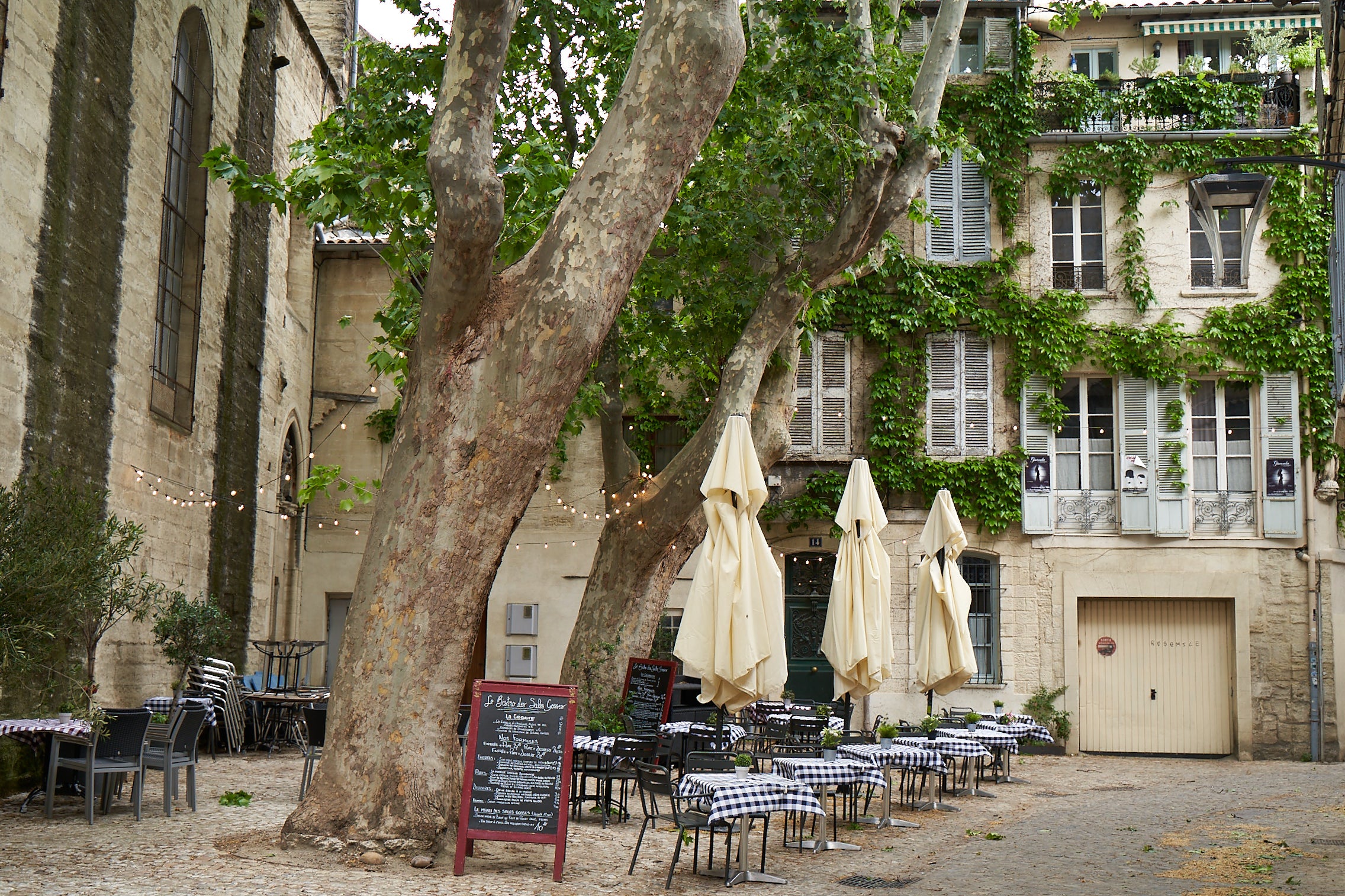 AVIGNON: A Historical Gem of Provence