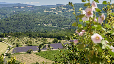 Provence Insider Recommendation: Un Jardin sur le Toit