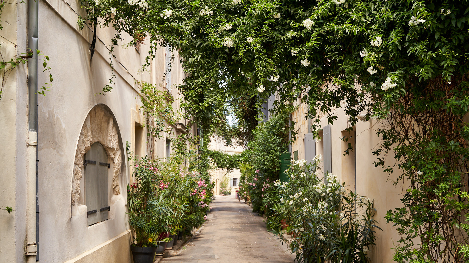 Arles: International Photography Festival