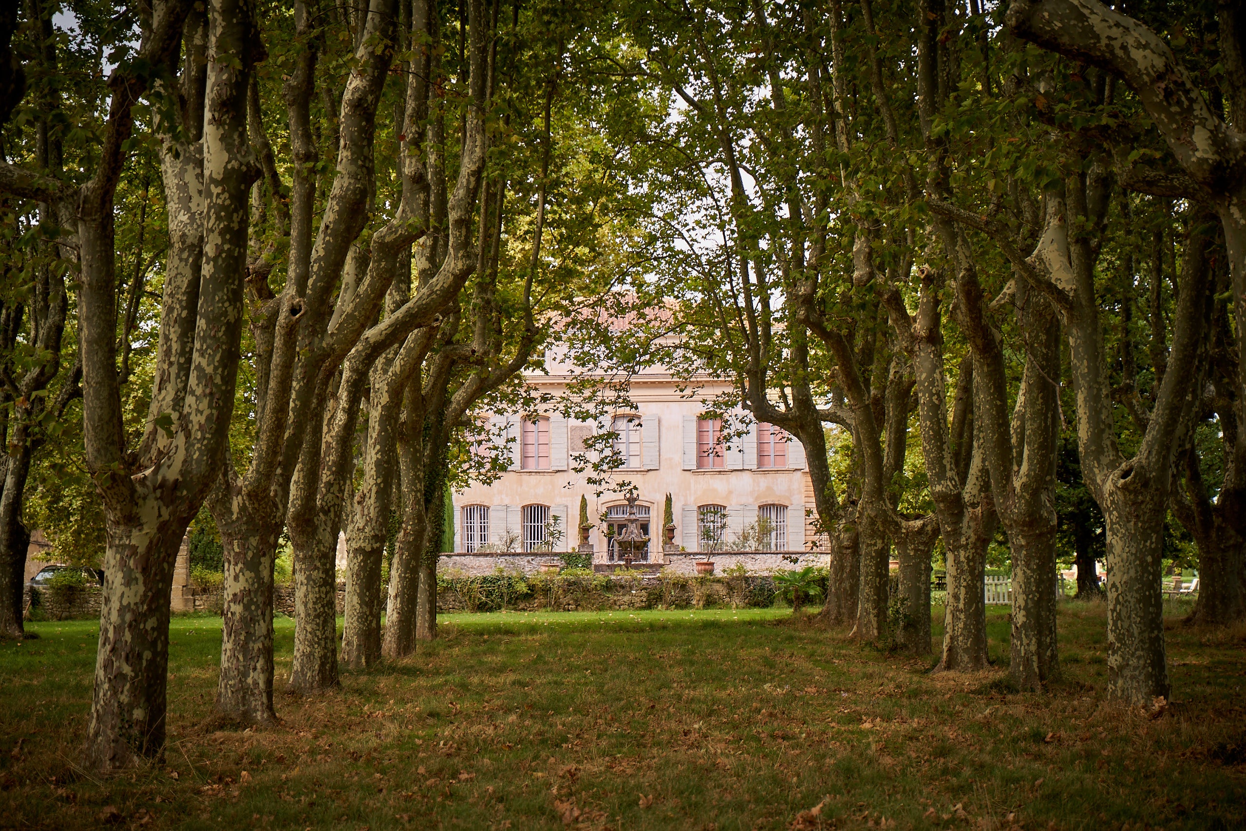 Vineyard tour in Provence: Château de Beaupré