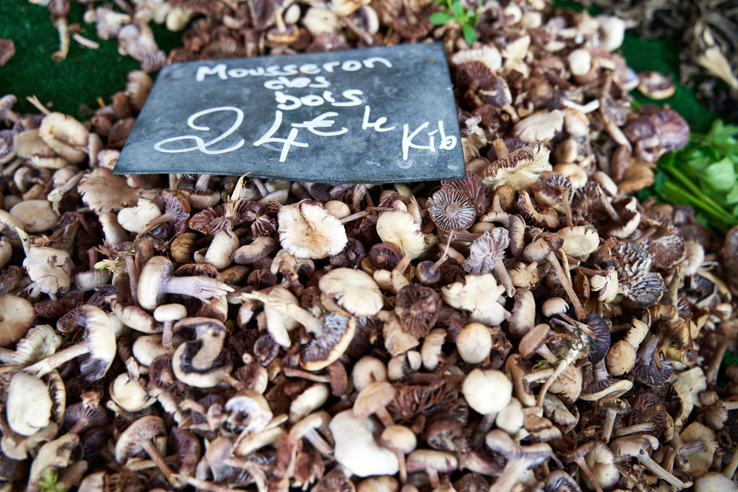 Mushroom Omelette à la Provençale
