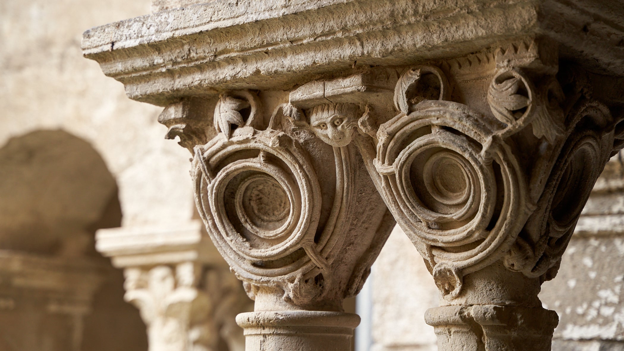 Van Gogh in Saint-Rémy-de-Provence