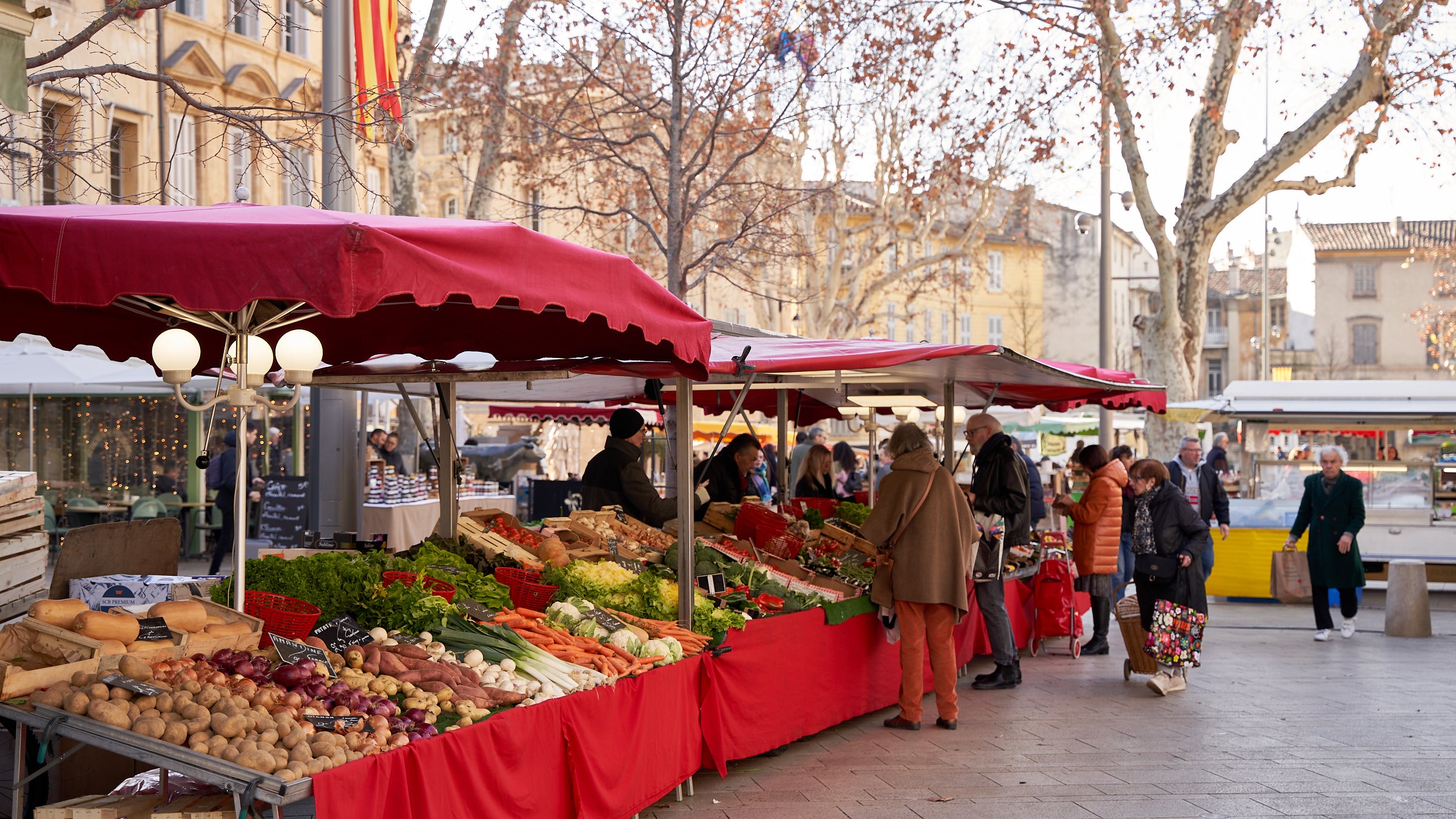 January Markets in Provence – CouleurNature
