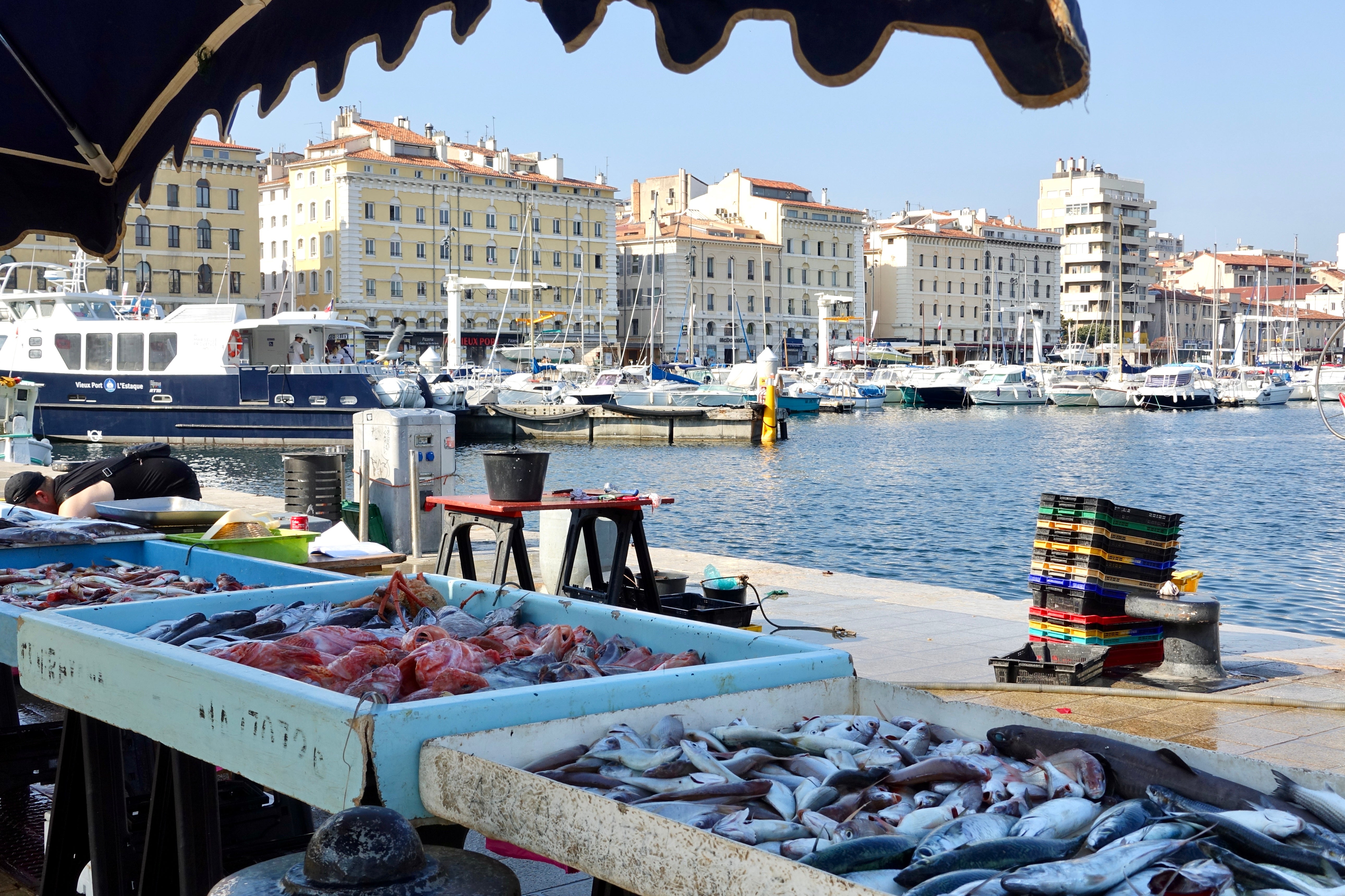 The Daily Fish Market on the Vieux Port of Marseille