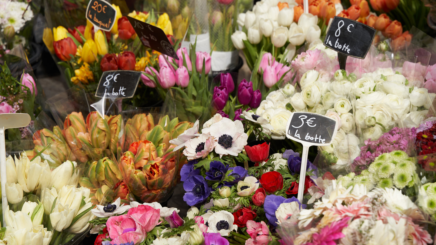 Flowers: a Spring Tribute