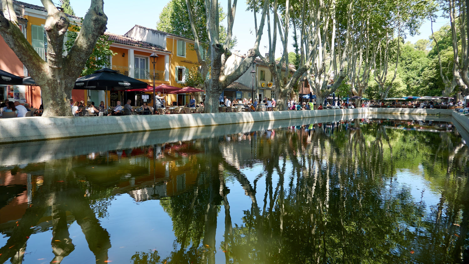 Possibly the world's most charming market