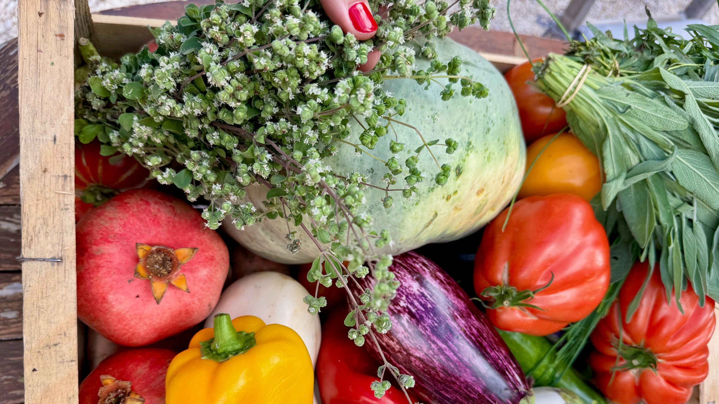 Ratatouille: Provence Classic Recipe