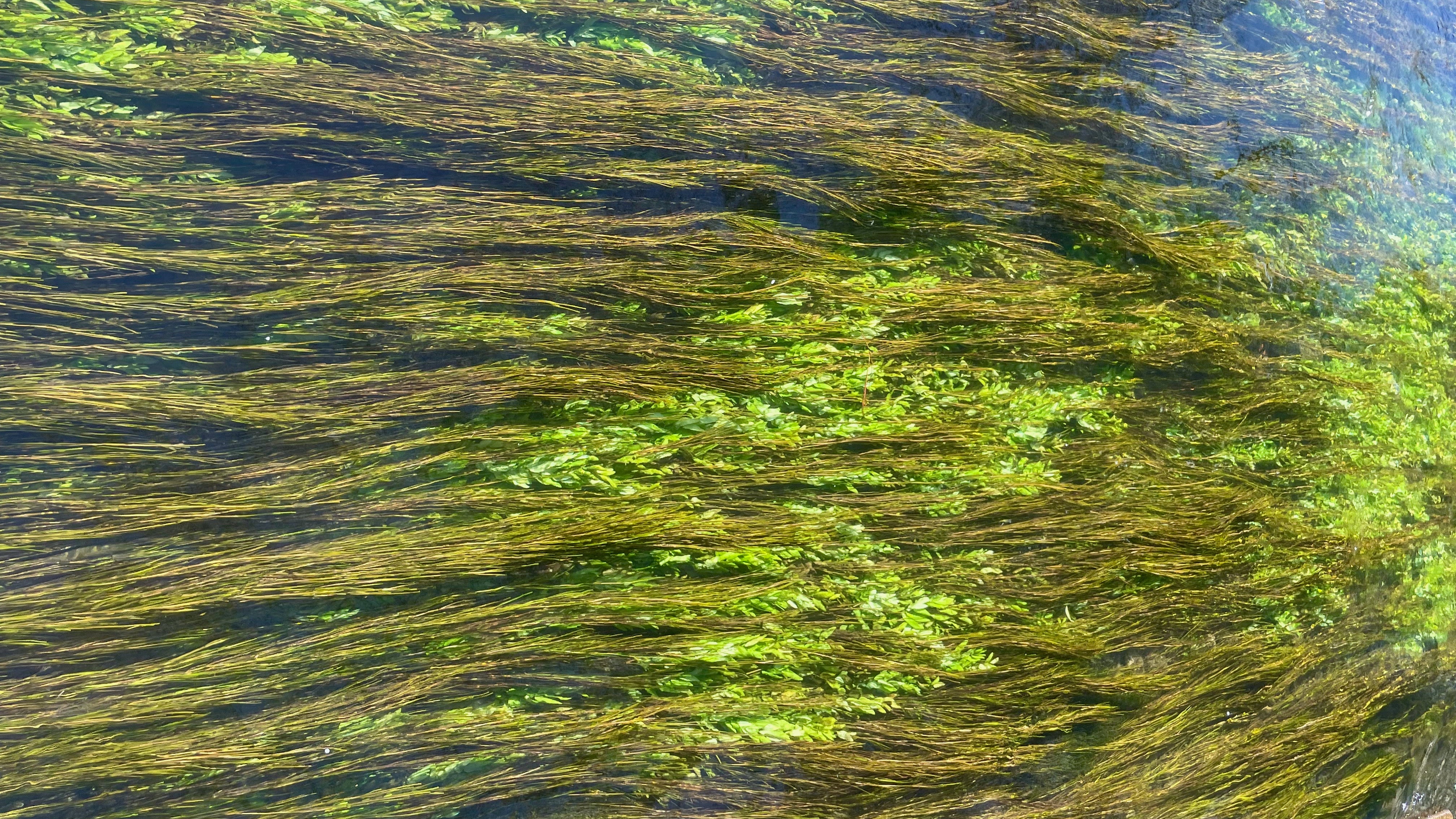 Antiquing in L'Isle sur la Sorgue