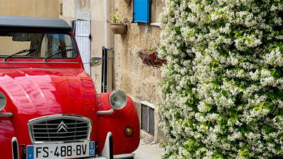 Classic Cars in Provence