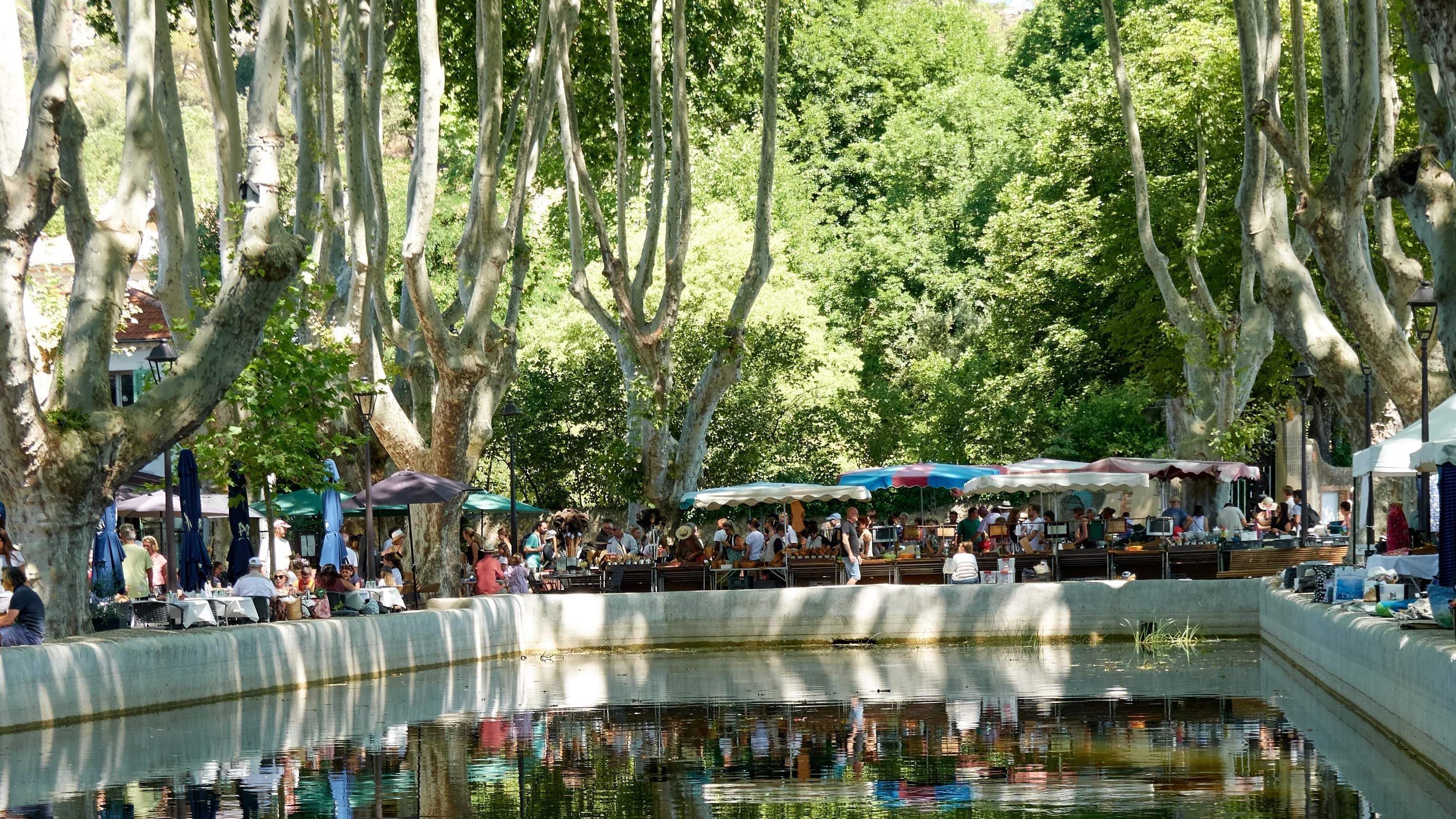 A Video Journey Through Marché de Cucuron - Provence's Most Charming Market