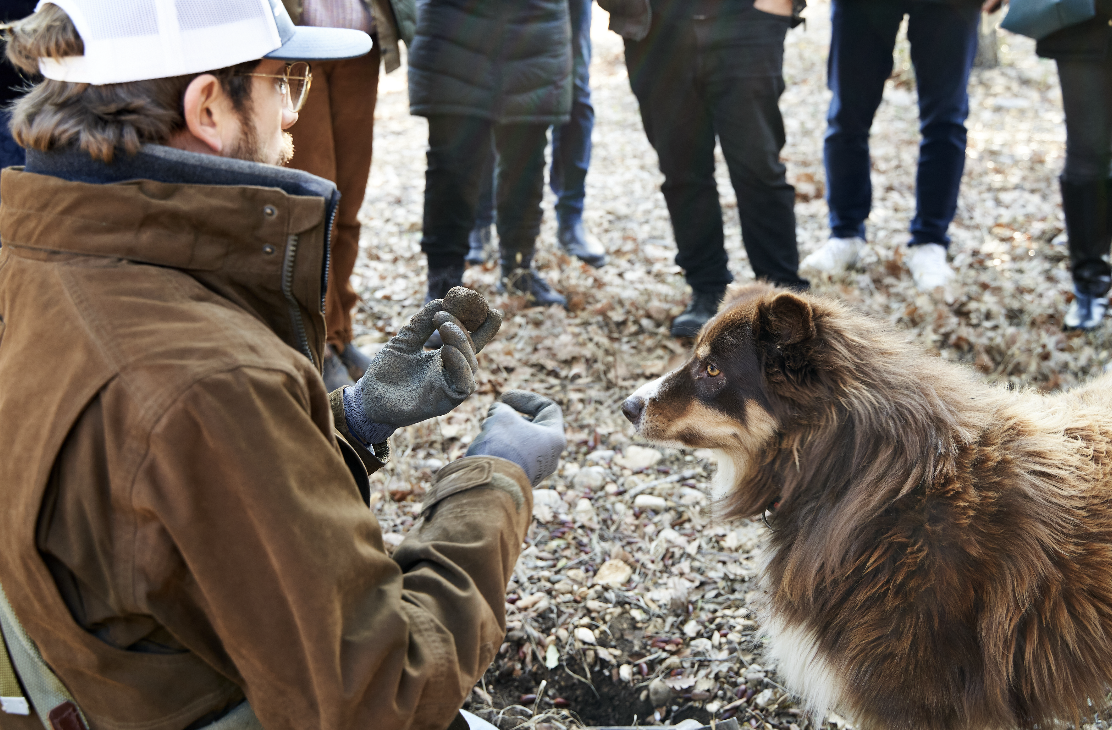 Truffle Hunting in Provence CouleurNature