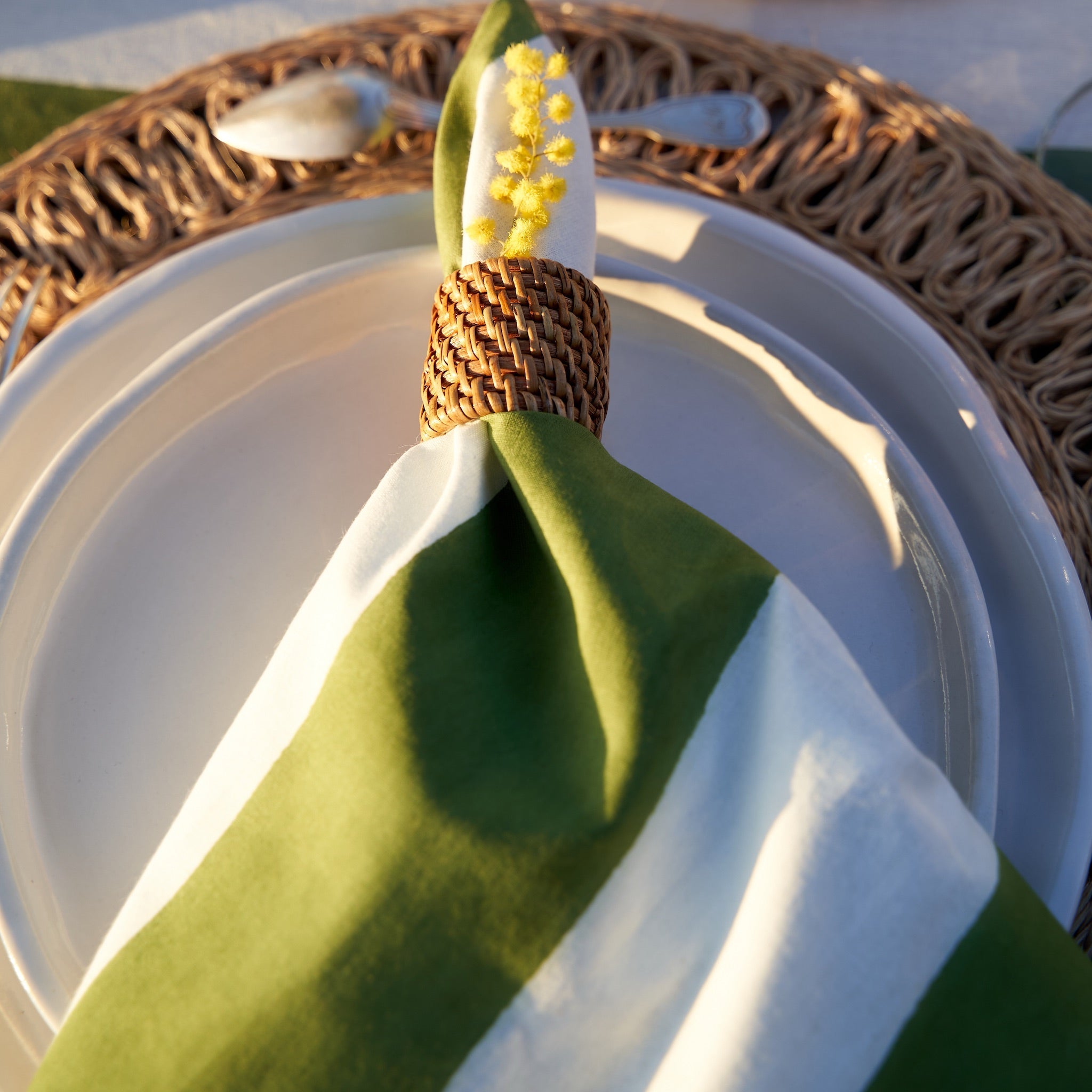 St. Tropez Napkins Vert Stripes, Set of 6