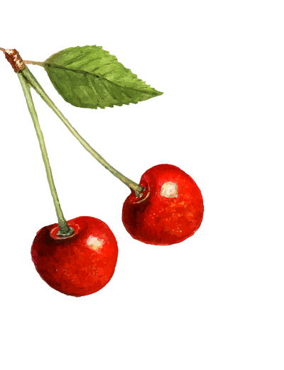 Decorative cherries