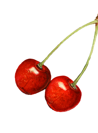 Decorative cherries